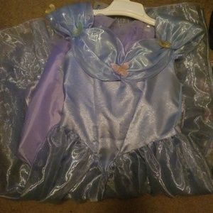 Cinderella Costume